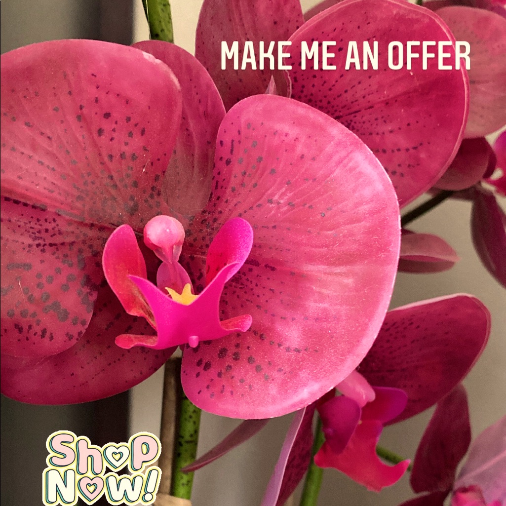 Make Your Offer!